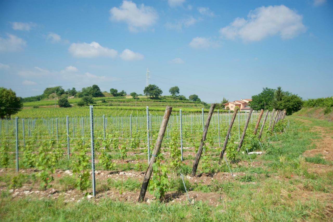 Agriturismo Albarello Sona Eksteriør billede