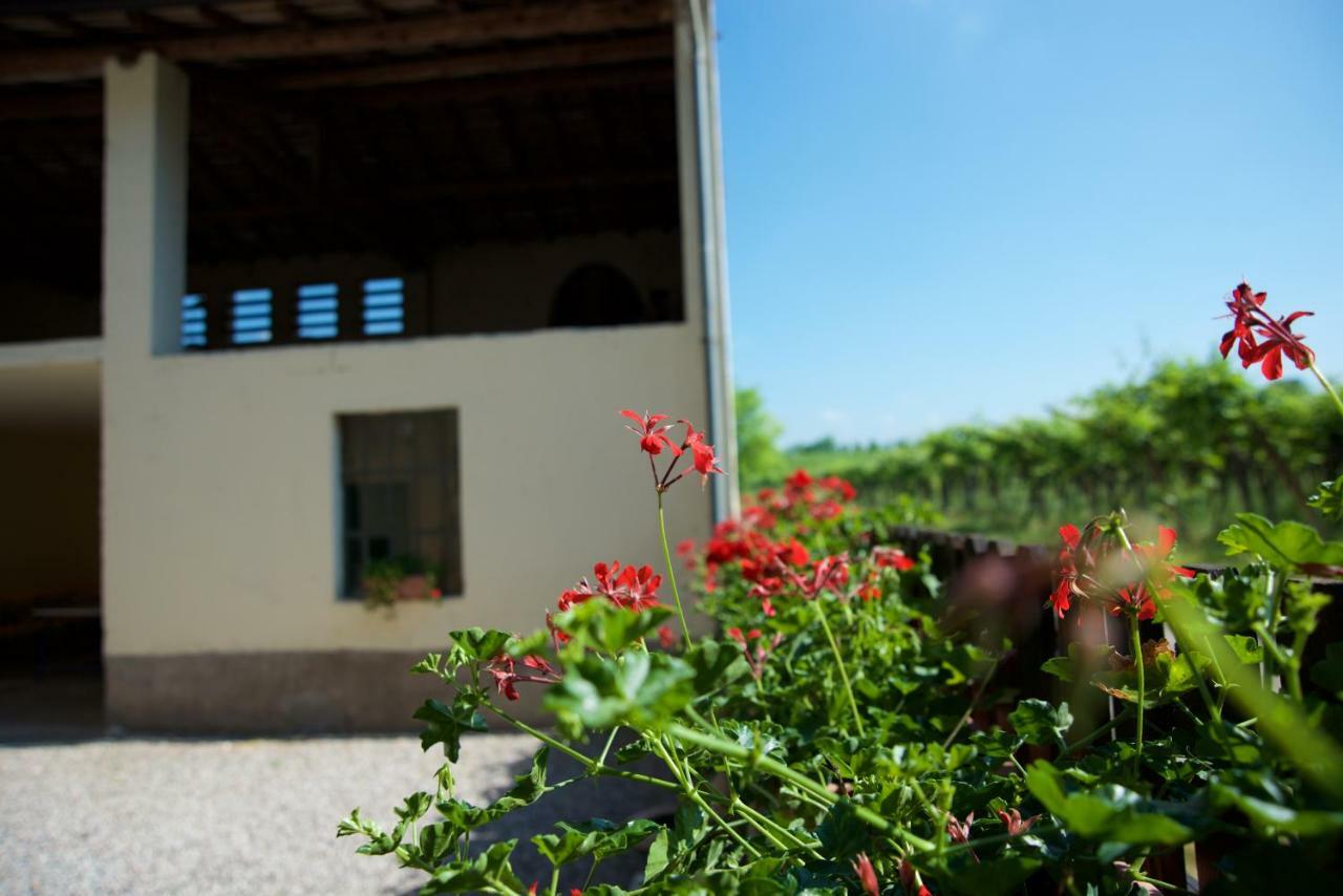 Agriturismo Albarello Sona Eksteriør billede