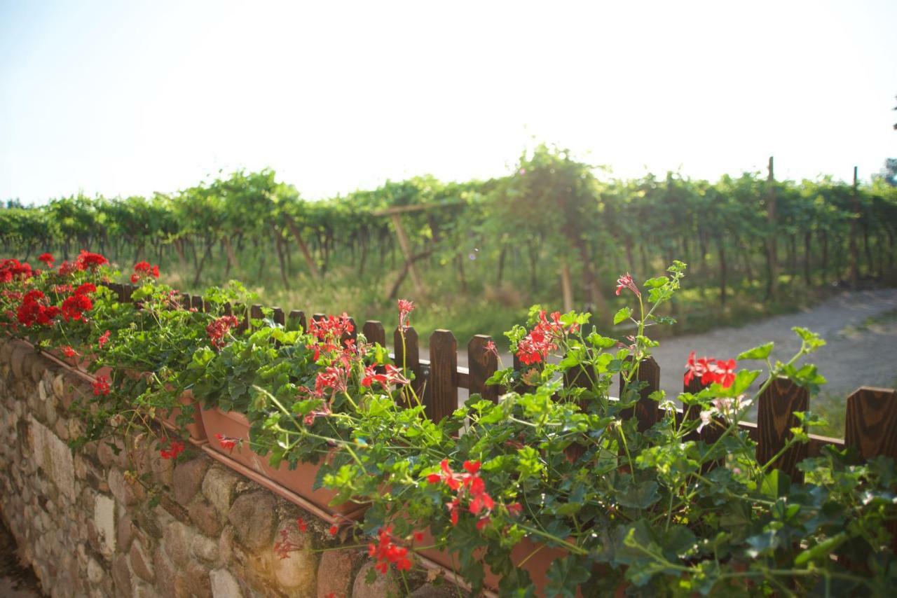 Agriturismo Albarello Sona Eksteriør billede